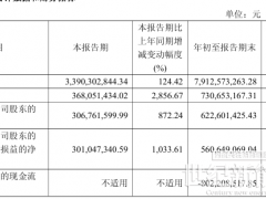 同比大增872.24%！海博思創(chuàng)2025年第三季度歸母凈利潤(rùn)3.07億元